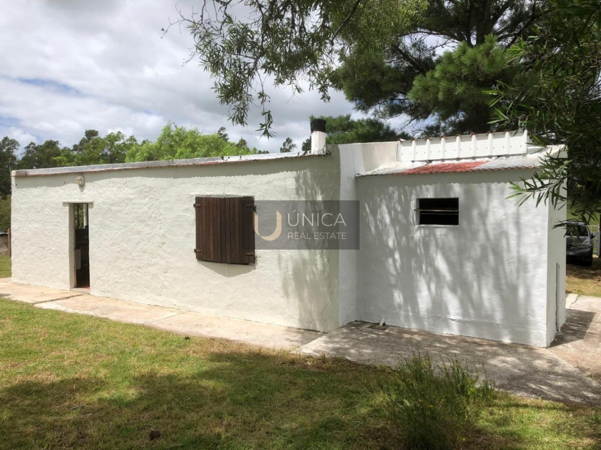 Chacra ID.1694 - Chacra en San Gregorio de Polanco