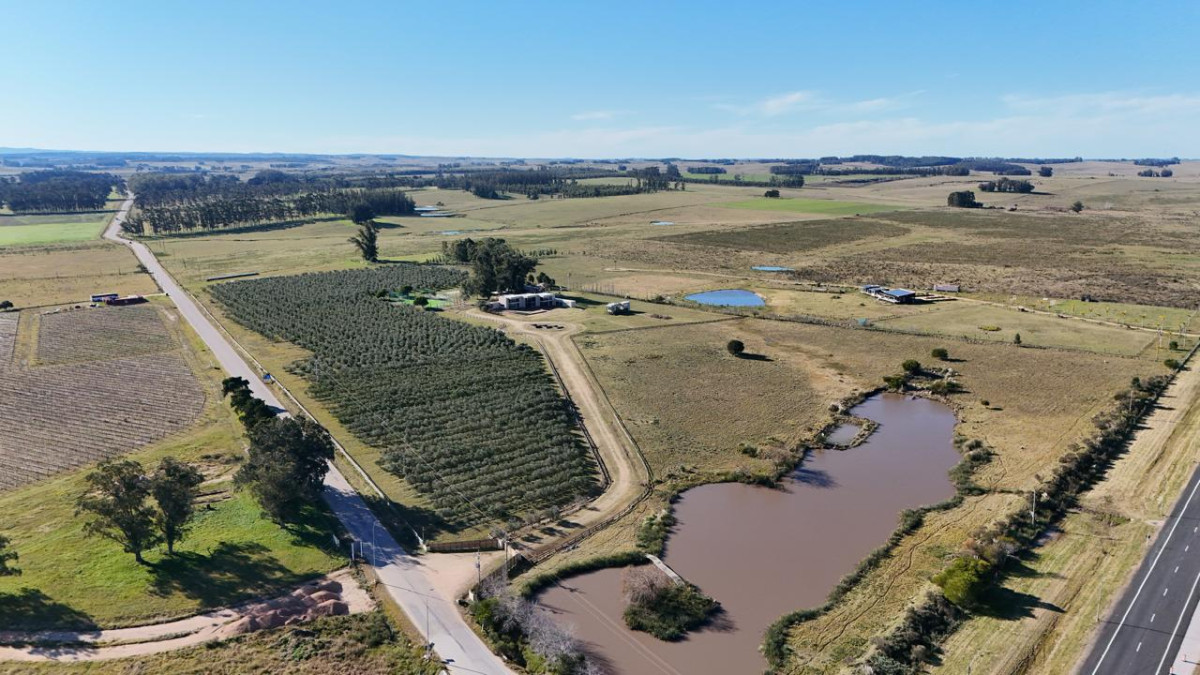 Chacra ID.1488 - Chacra de 12 hectáreas y 6 suites en José Ignacio. Oportunidad única!!
