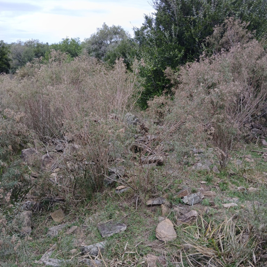 Chacra ID.1528 - Chacra 6 hectáreas Pueblo Edén