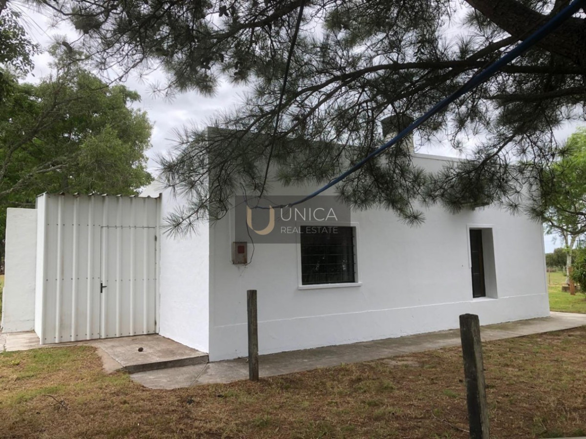Chacra ID.1694 - Chacra en San Gregorio de Polanco