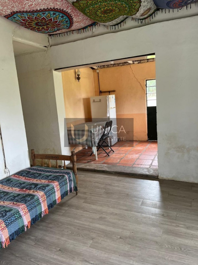 Chacra ID.1694 - Chacra en San Gregorio de Polanco