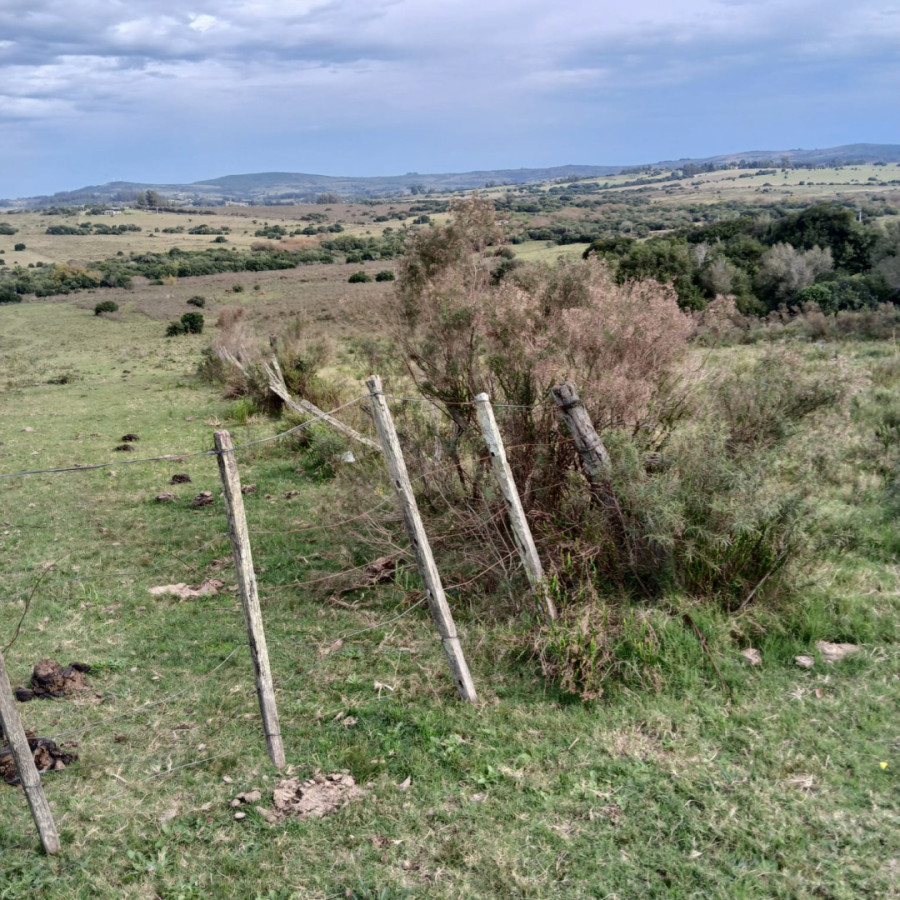 Chacra 6 hectáreas Pueblo Edén
