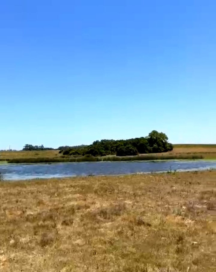 Chacra 3 hectáreas sobre laguna Garzón