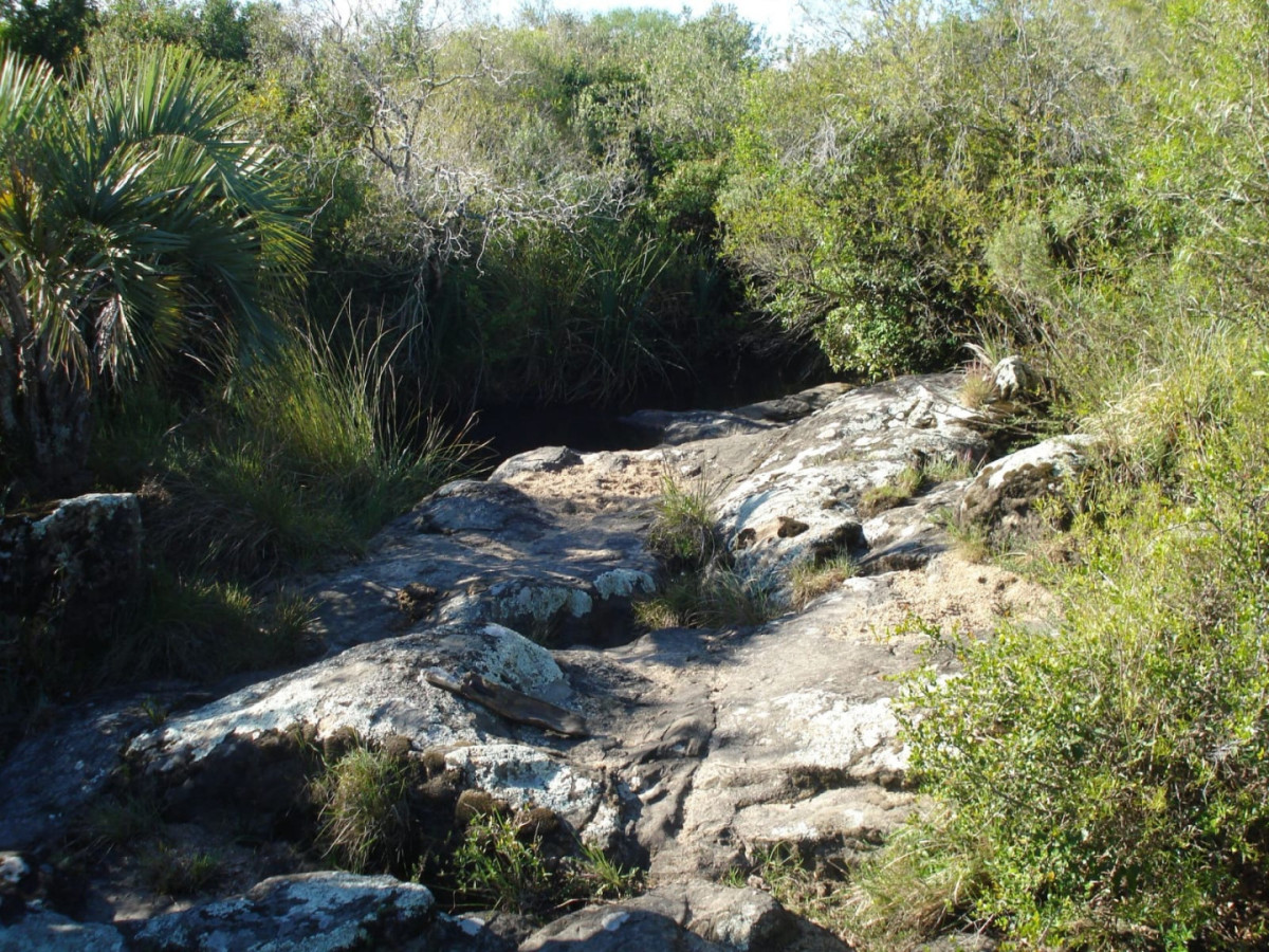 Campo Ref.2169 - Campo natural 98 hectáreas Sierra de Carapé. Gran aptitud turística