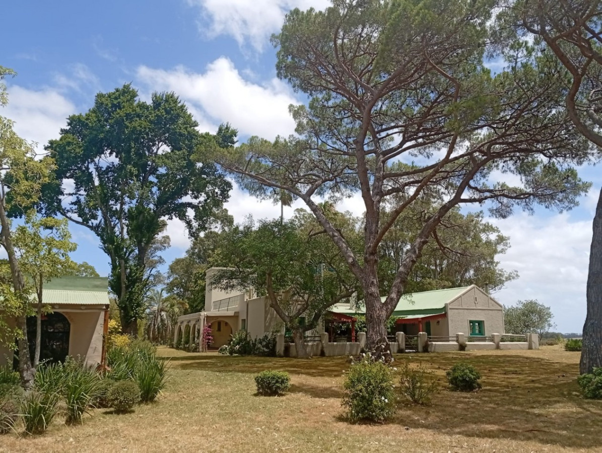 Campo Ref.2094 - Exclusiva propiedad de 74 hectáreas con 6 habitaciones en la zona más codiciada de José Ignacio.