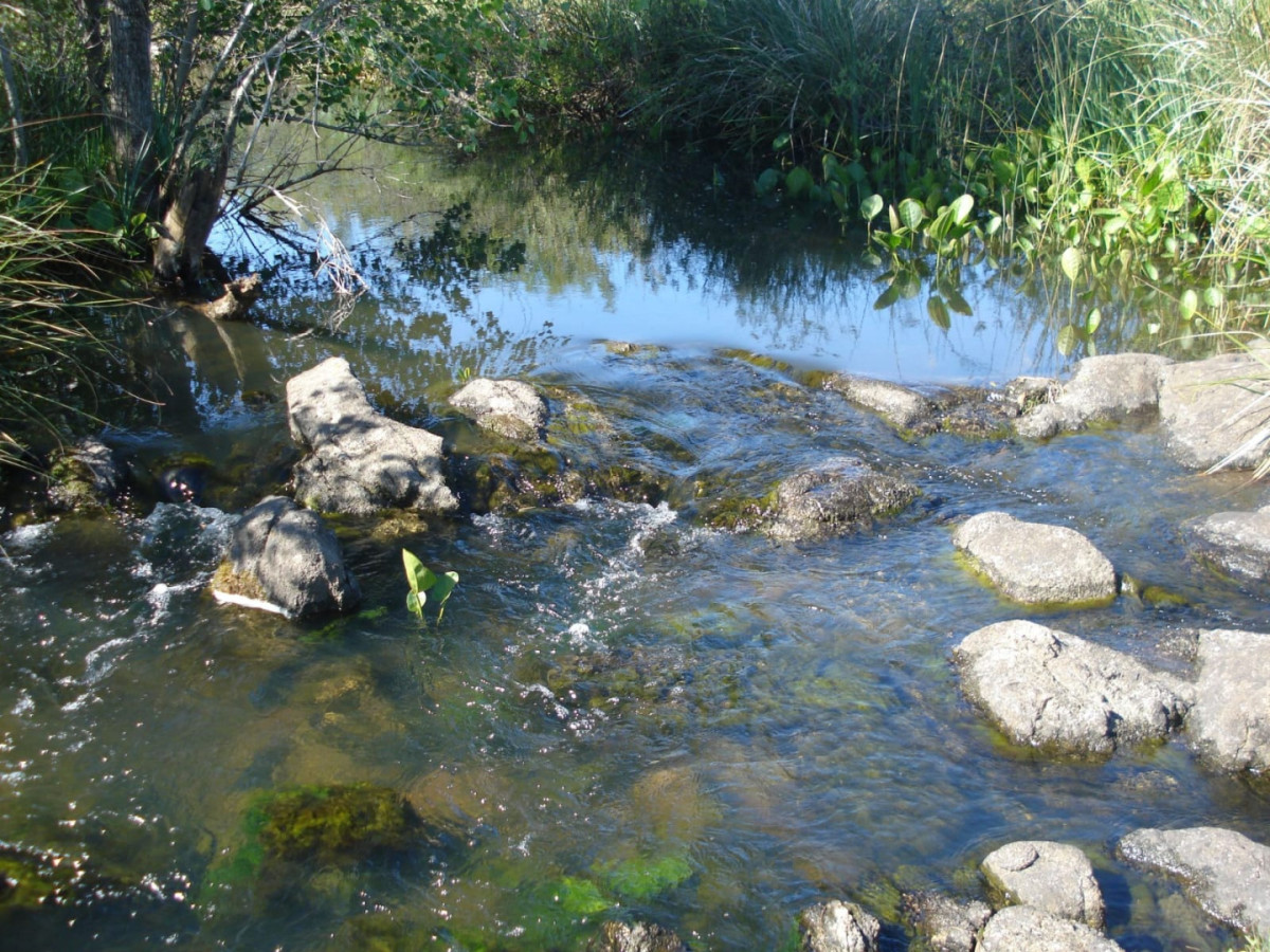 Campo Ref.2169 - Campo natural 98 hectáreas Sierra de Carapé. Gran aptitud turística