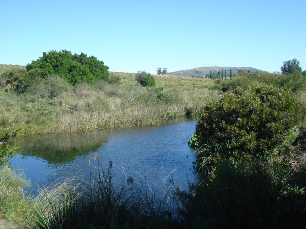 Campo Ref.2169 - Campo natural 98 hectáreas Sierra de Carapé. Gran aptitud turística