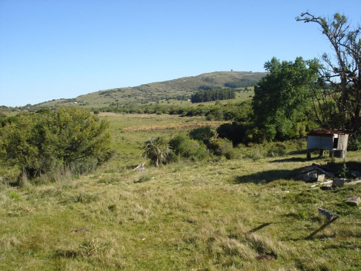 Campo Ref.2169 - Campo natural 98 hectáreas Sierra de Carapé. Gran aptitud turística
