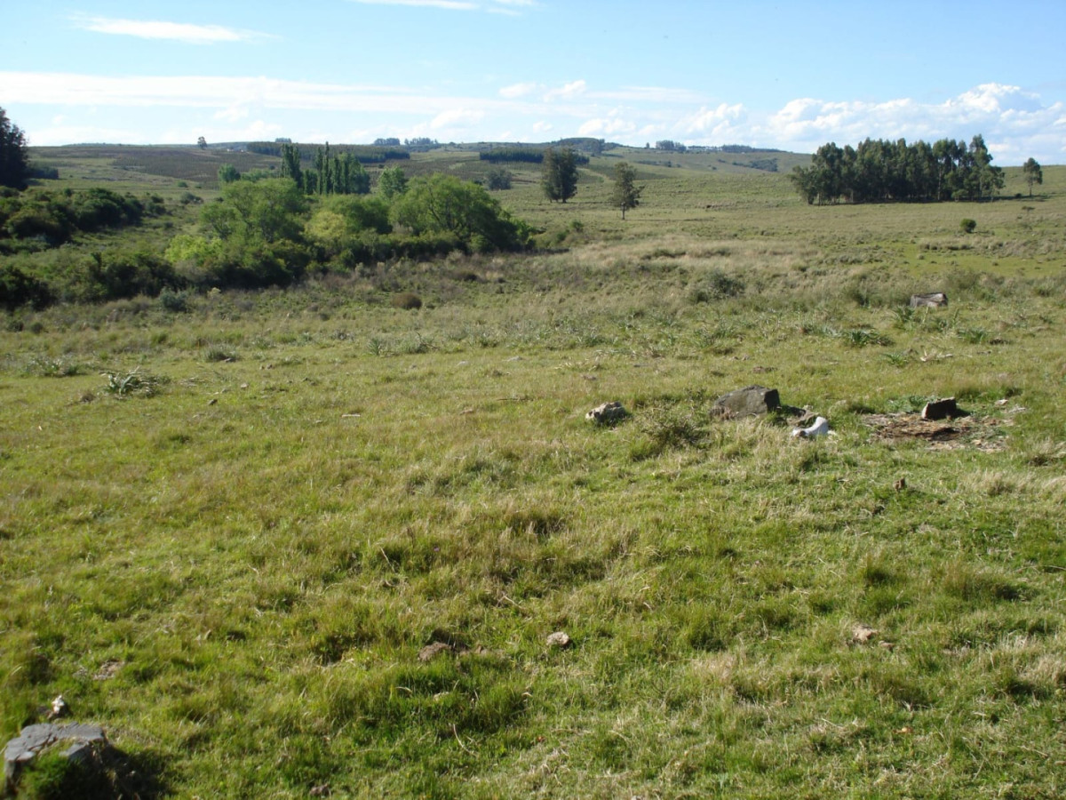 Campo Ref.2169 - Campo natural 98 hectáreas Sierra de Carapé. Gran aptitud turística