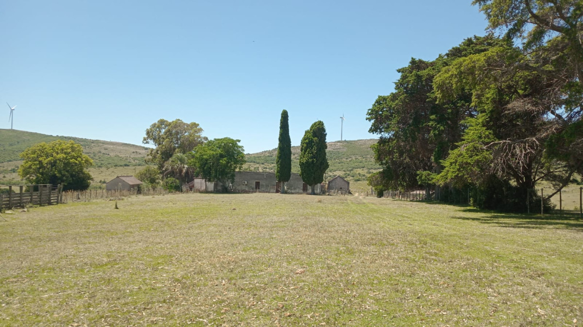 Campo Ref.1590 - 740 hectareas Sierra de Carapé con casa 4 dormitorios