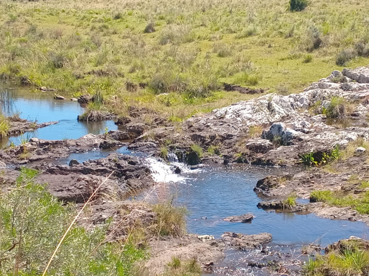 Campo Ref.1590 - 740 hectareas Sierra de Carapé con casa 4 dormitorios