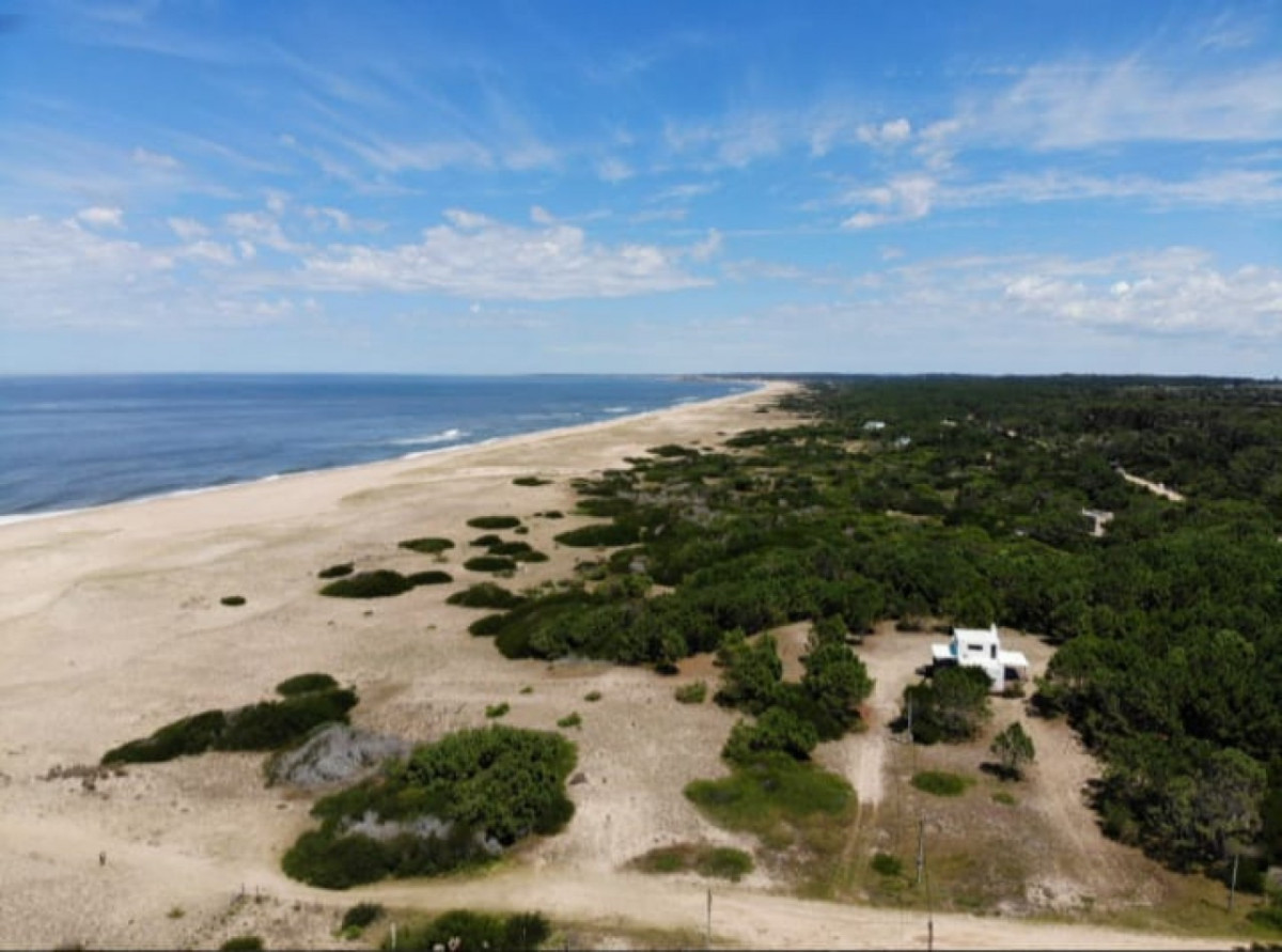 Campo Ref.1519 - Fracción de 55 hectáreas en San Antonio, Rocha