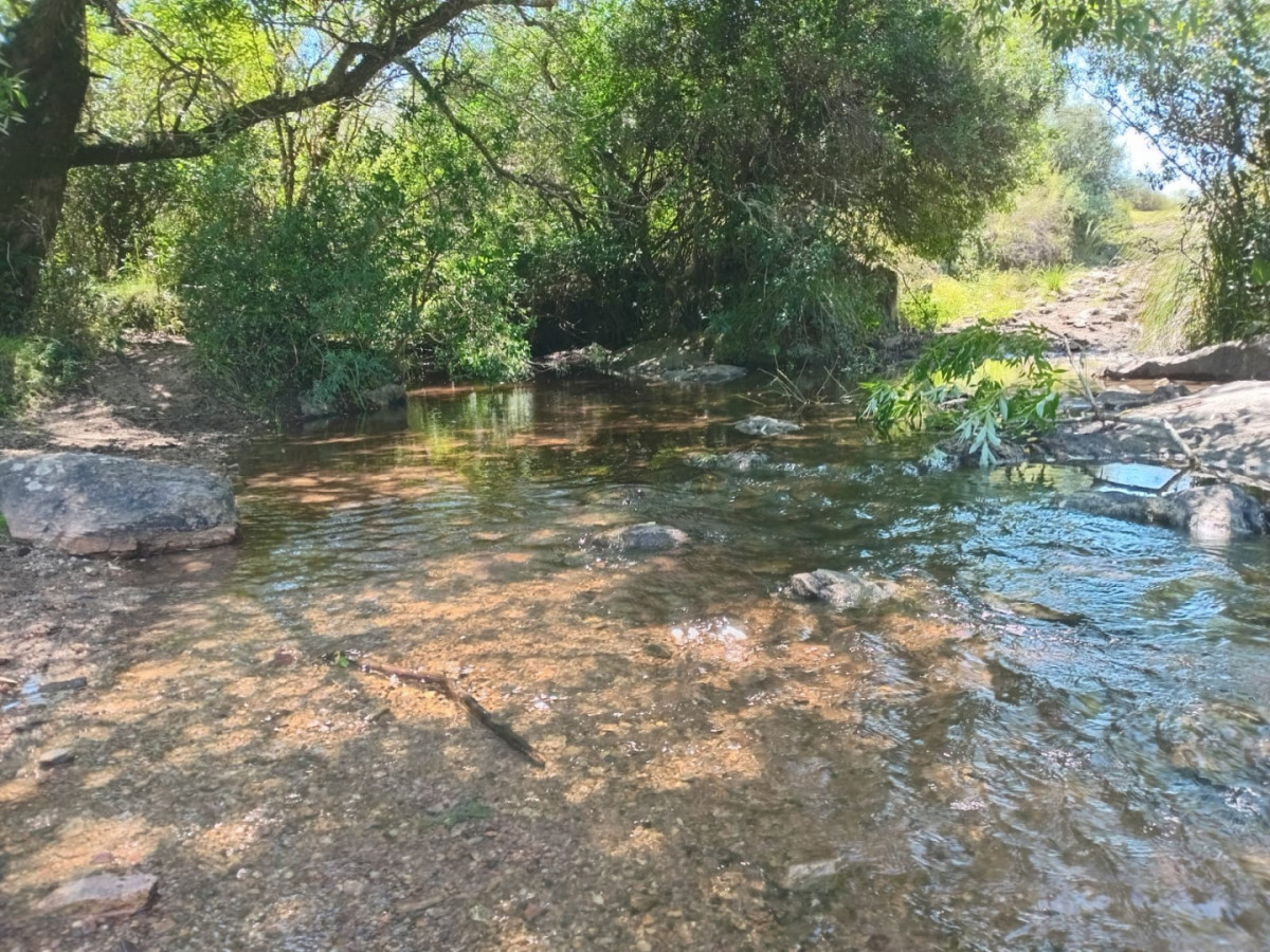 Campo Ref.1590 - 740 hectareas Sierra de Carapé con casa 4 dormitorios