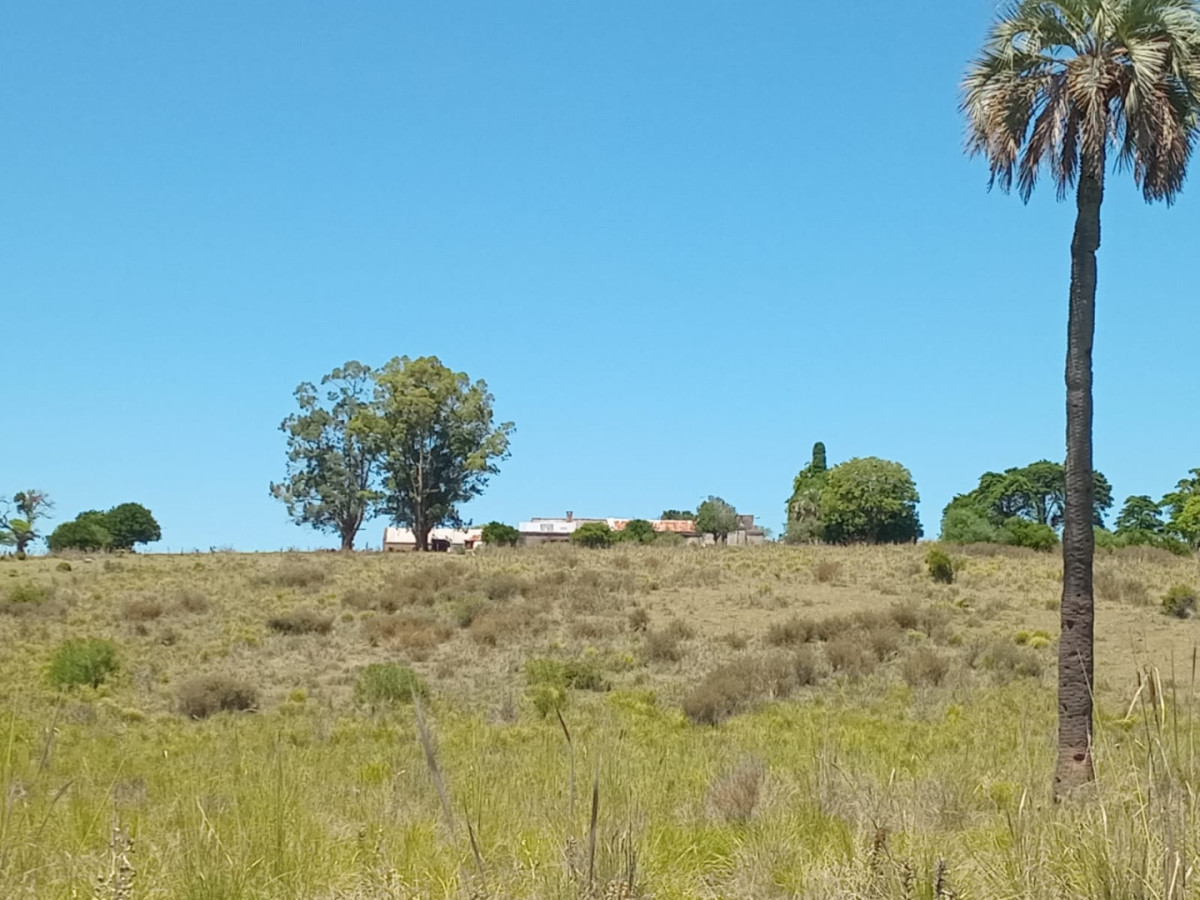 Campo Ref.1590 - 740 hectareas Sierra de Carapé con casa 4 dormitorios