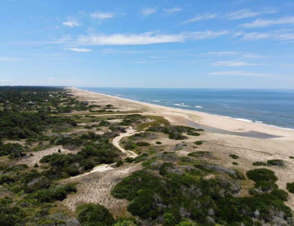 Campo Ref.1519 - Fracción de 55 hectáreas en San Antonio, Rocha
