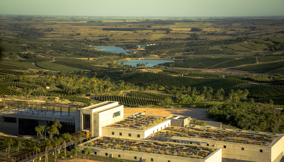Campo Ref.1766 - Campo zona Bodega Garzón