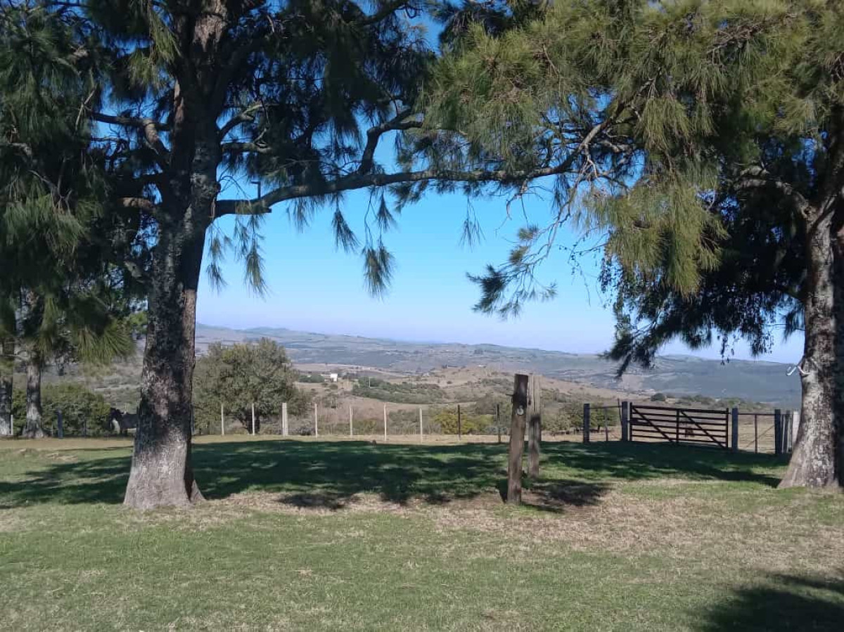 Campo Ref.1589 - Sierra de Carapé. 267 hectáreas. Casa 8 dormitorios