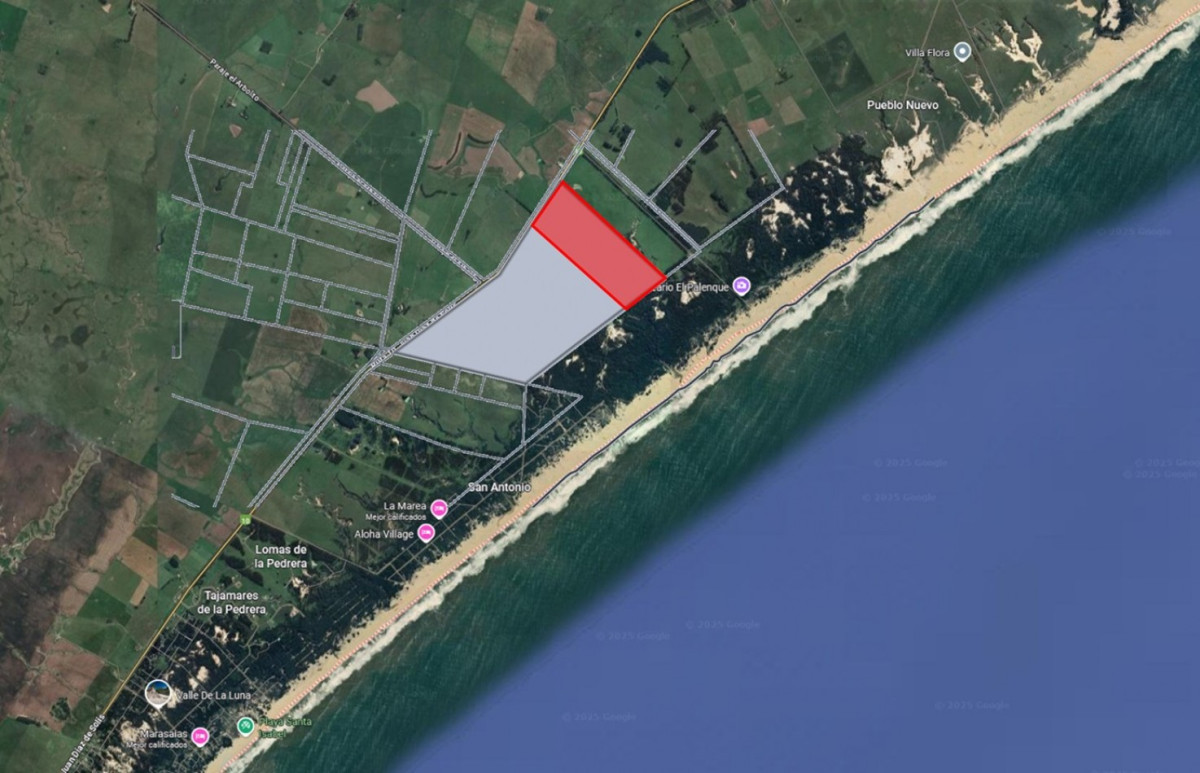 Campo Ref.1519 - Fracción de 55 hectáreas en San Antonio, Rocha