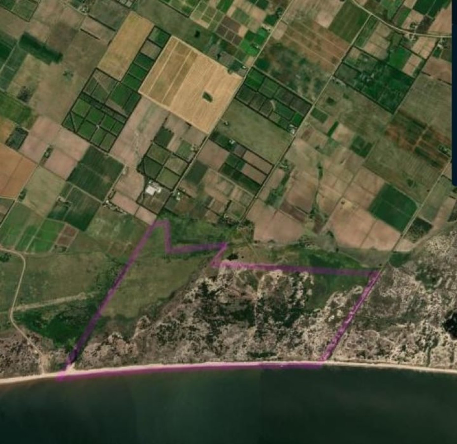 Campo Ref.1720 - Campo 197 hectáreas con  2500 metros de playa sobre el Río de la Plata A 40 km de Montevideo
