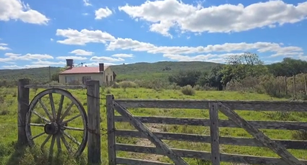 Campo Ref.1766 - Campo zona Bodega Garzón