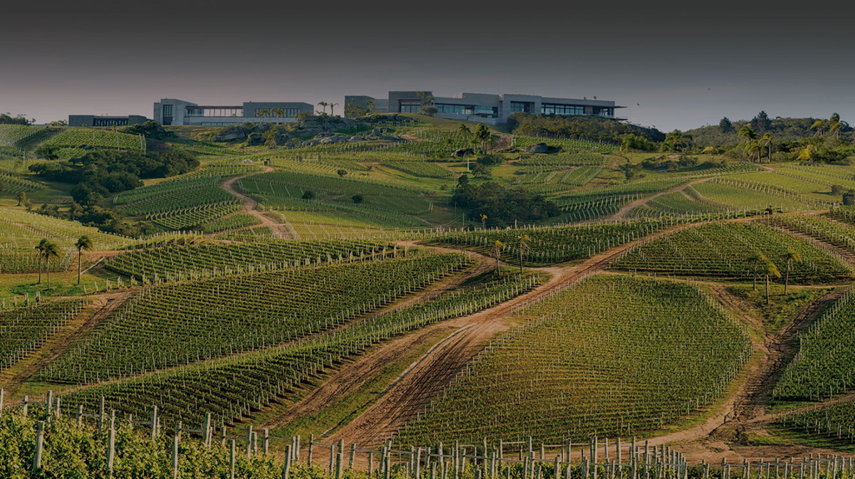 Campo zona Bodega Garzón