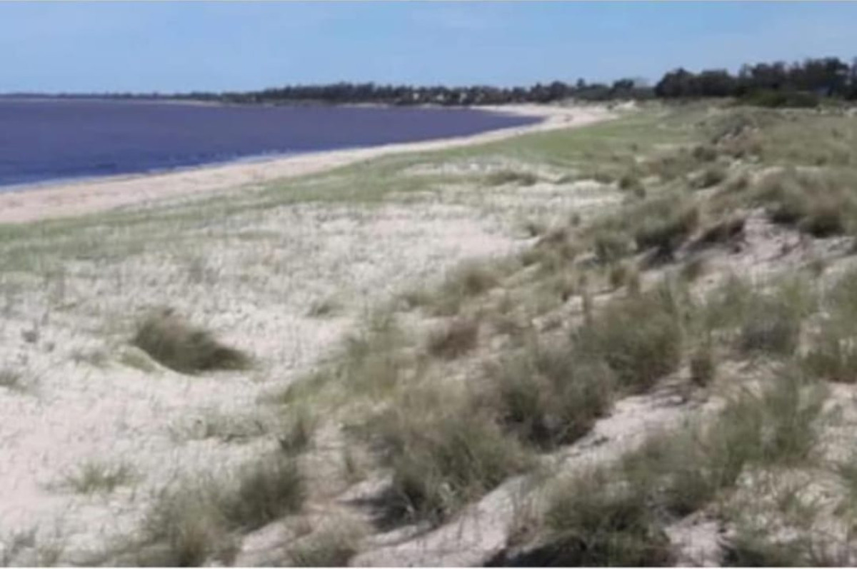 Campo 197 hectáreas con  2500 metros de playa sobre el Río de la Plata A 40 km de Montevideo