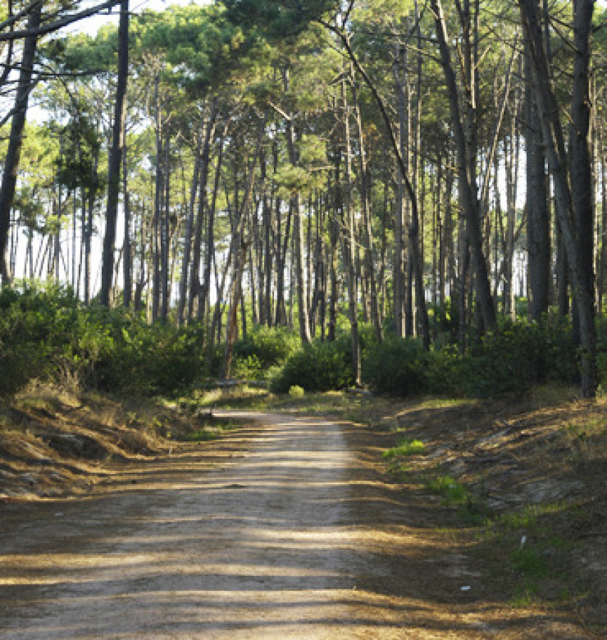 Terreno ID.2046 - Dunas José Ignacio
