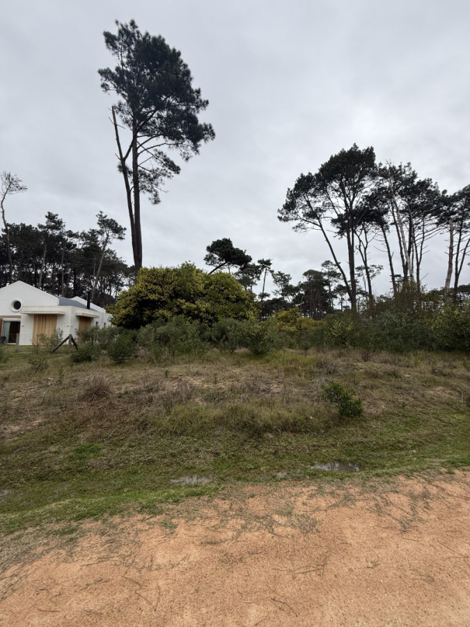 Terreno ID.2231 - LOTE EN RESERVA MONTOYA 