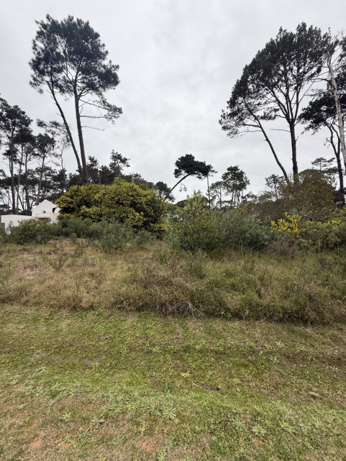 Terreno ID.2231 - LOTE EN RESERVA MONTOYA 