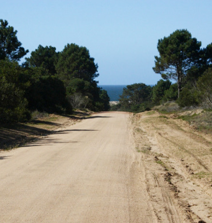 Terreno ID.2046 - Dunas José Ignacio
