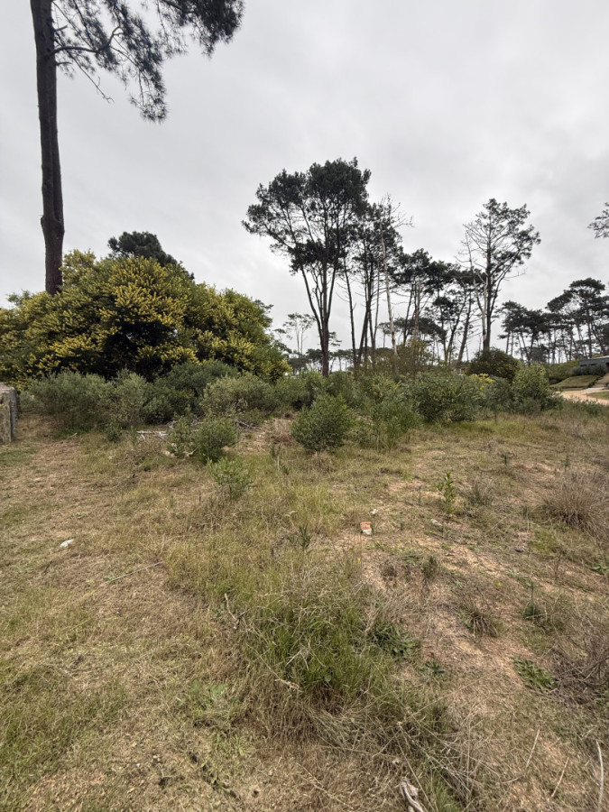 Terreno ID.2231 - LOTE EN RESERVA MONTOYA 