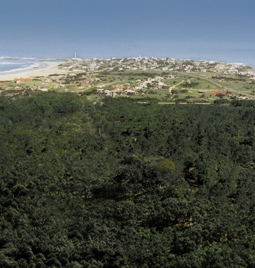 Terreno ID.2046 - Dunas José Ignacio