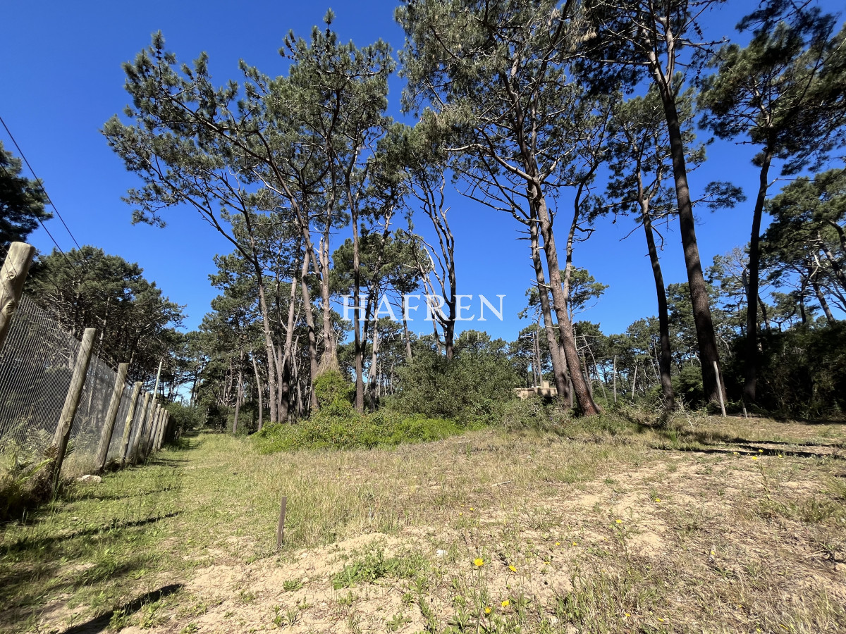 Terreno ID.220 - Venta de Lote en Reserva Montoya 