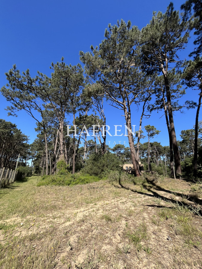 Terreno ID.220 - Venta de Lote en Reserva Montoya 