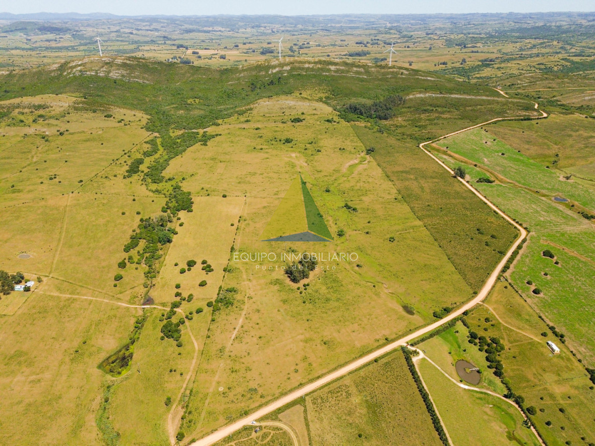 Q2FtcG8gRU4gVkVOVEEgLSBMb3MgQ2FyYWNvbGVzIC0gTWFsZG9uYWRvICAtIFJlZiA6IEVRUDc5NDY=