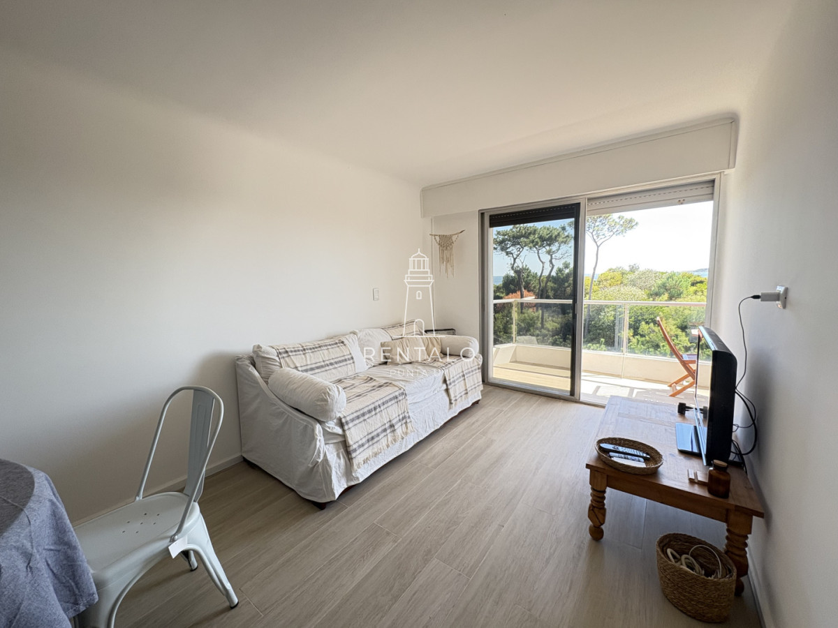 Apartamento ID.874 - Apartamento en alquiler invernal 1 dormitorio y medio playa mansa primera linea 