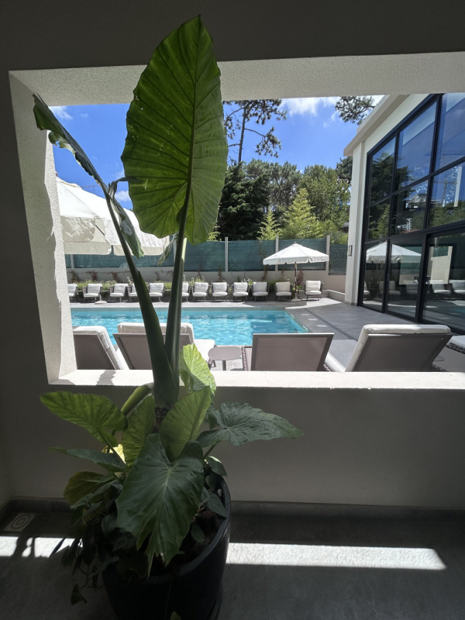 Apartamento ID.21097254 - ALQUILER ANUAL - Roosevelt- 2 dormitorios 