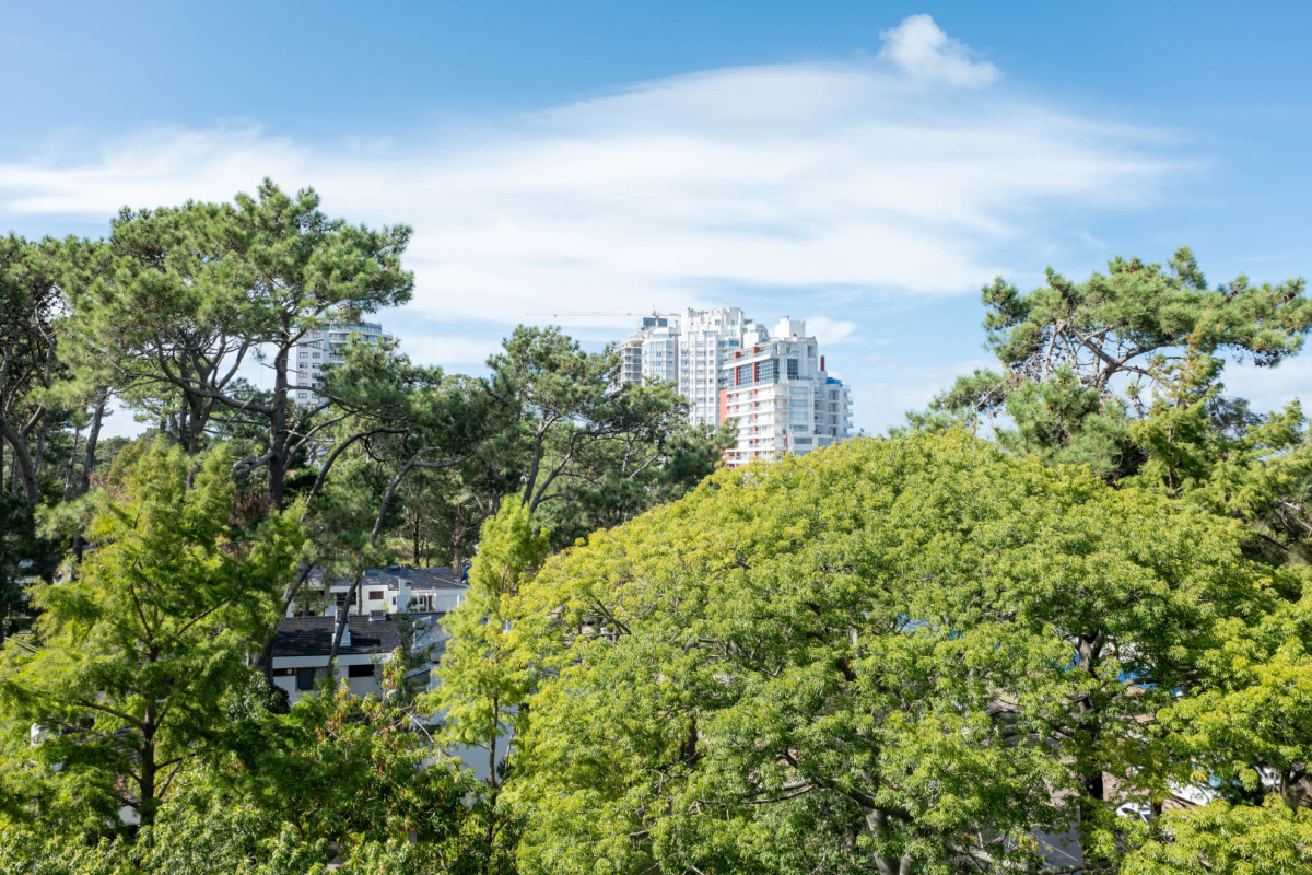 Apartamento ID.21097280 - Apartamento en venta - Roosevelt - 2 dormitorios 