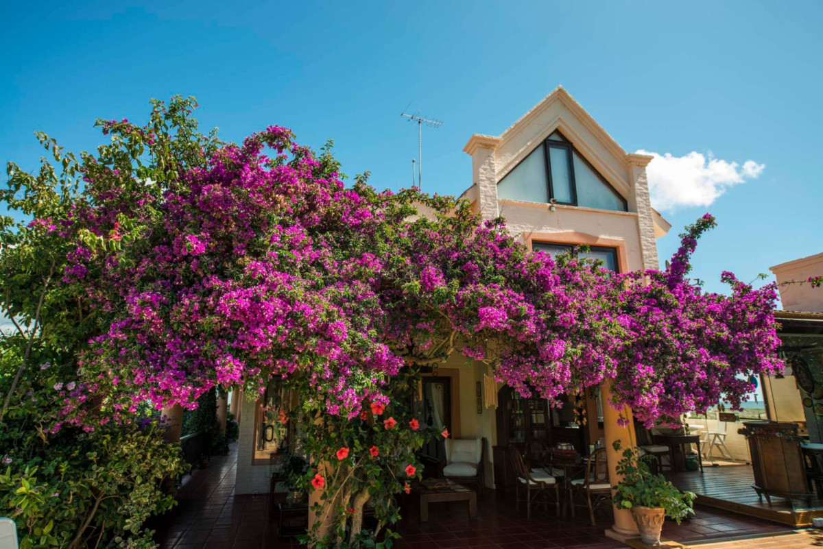 Casa ID.21097689 - CASA FRENTE AL MAR SOBRE LA ARENA 