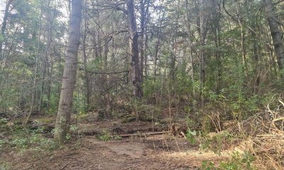 Terreno Bosque en Arelauquen