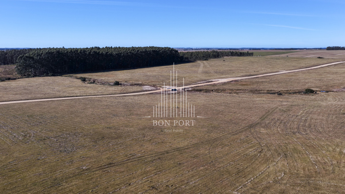 Chacra ID.189 - Venta chacras en Jose Ignacio.