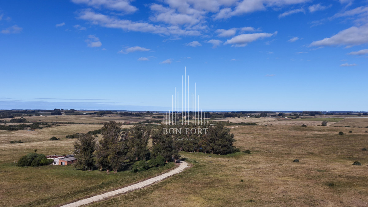 Chacra ID.189 - Venta chacras en Jose Ignacio.