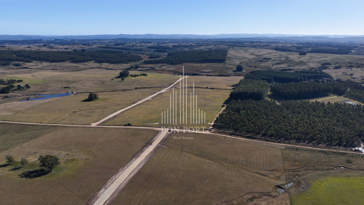 Chacra ID.189 - Venta chacras en Jose Ignacio.