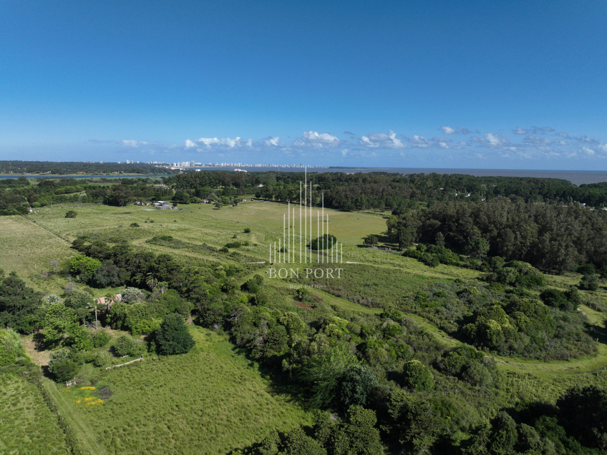 Terreno ID.190 - Barrio privado en Punta Ballena.