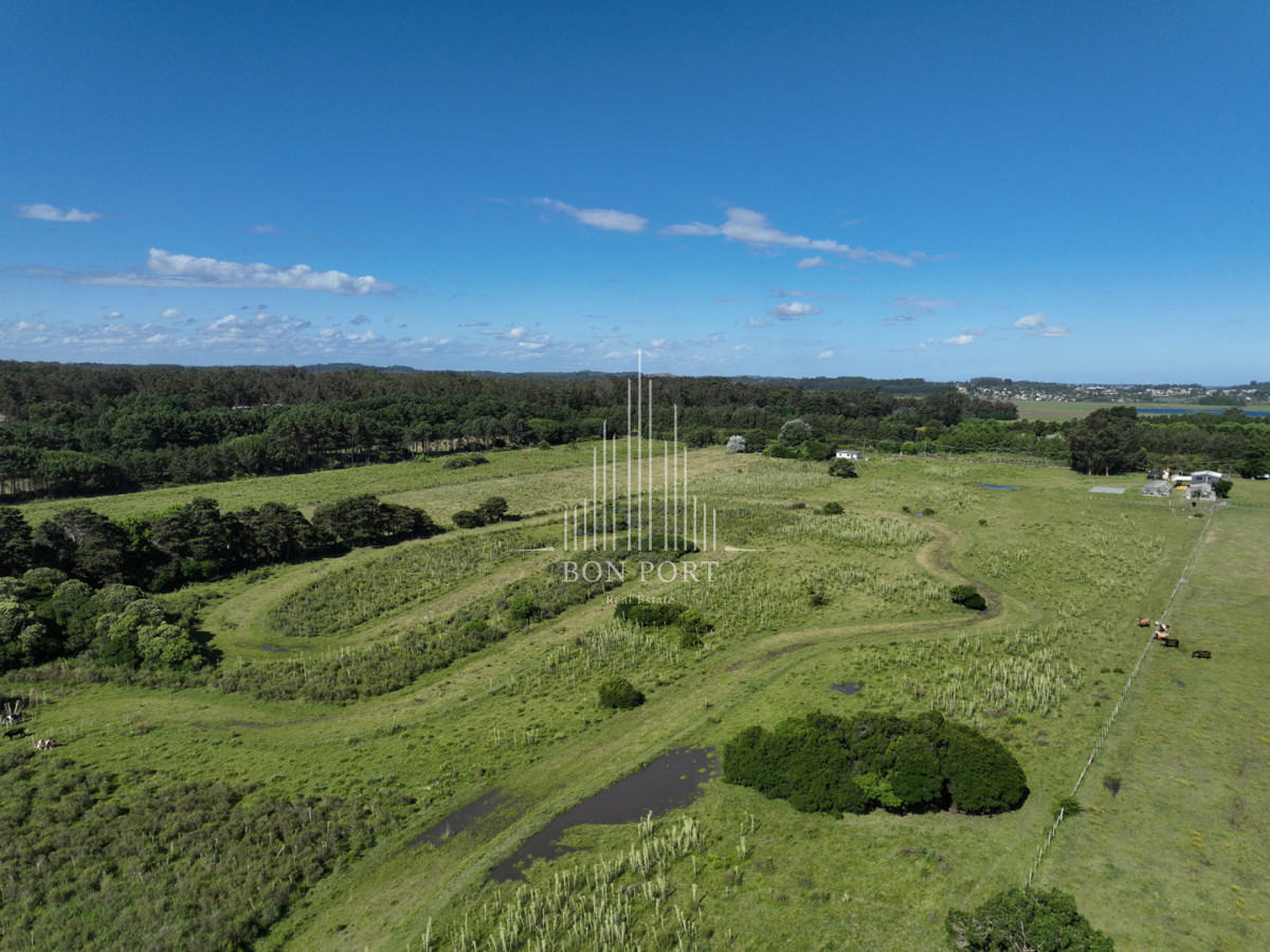 Terreno ID.190 - Barrio privado en Punta Ballena.