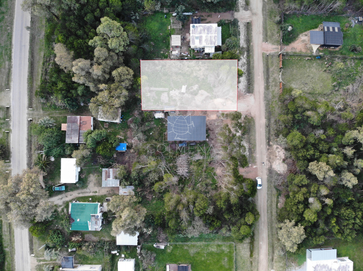 Sauce de Portezuelo - GoPunta - Portal Inmobiliario de Punta del Este - Maldonado