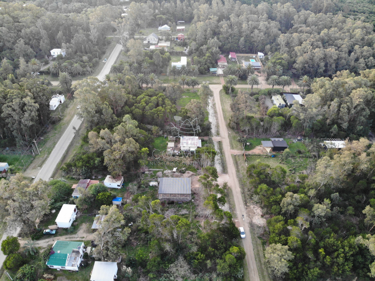 Sauce de Portezuelo - GoPunta - Portal Inmobiliario de Punta del Este - Maldonado