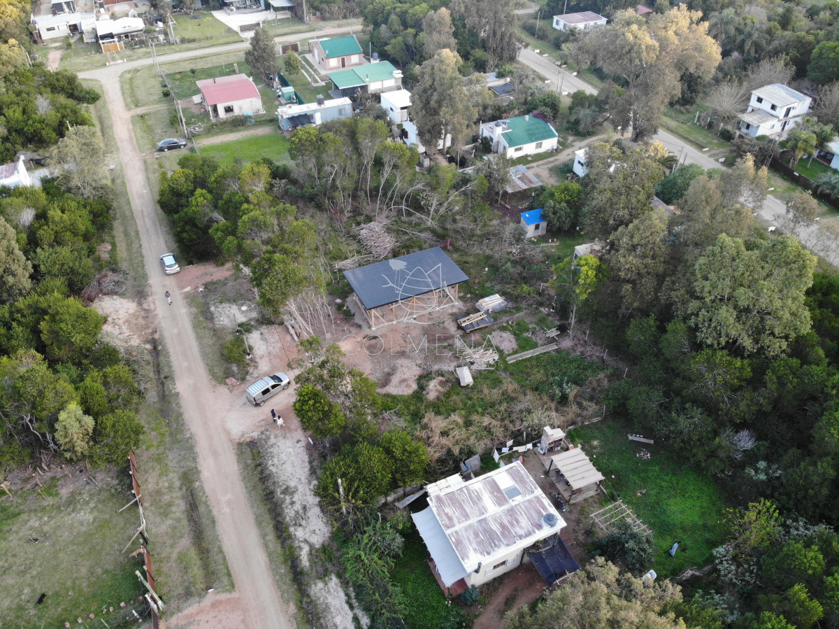 Sauce de Portezuelo - GoPunta - Portal Inmobiliario de Punta del Este - Maldonado