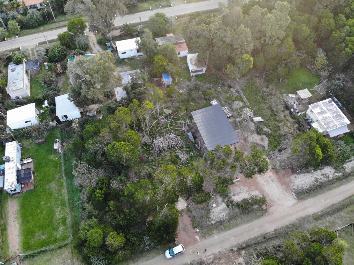 Sauce de Portezuelo - GoPunta - Portal Inmobiliario de Punta del Este - Maldonado