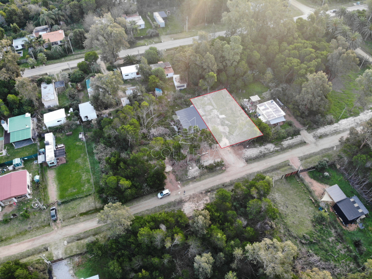 Sauce de Portezuelo - GoPunta - Portal Inmobiliario de Punta del Este - Maldonado